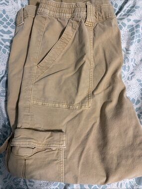 American Eagle Outfitters Beige/Tan Cargo Pants with Elastic Waist